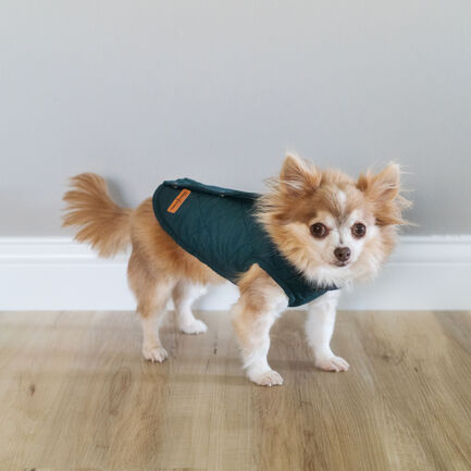 Quilted Barn Dog Jacket