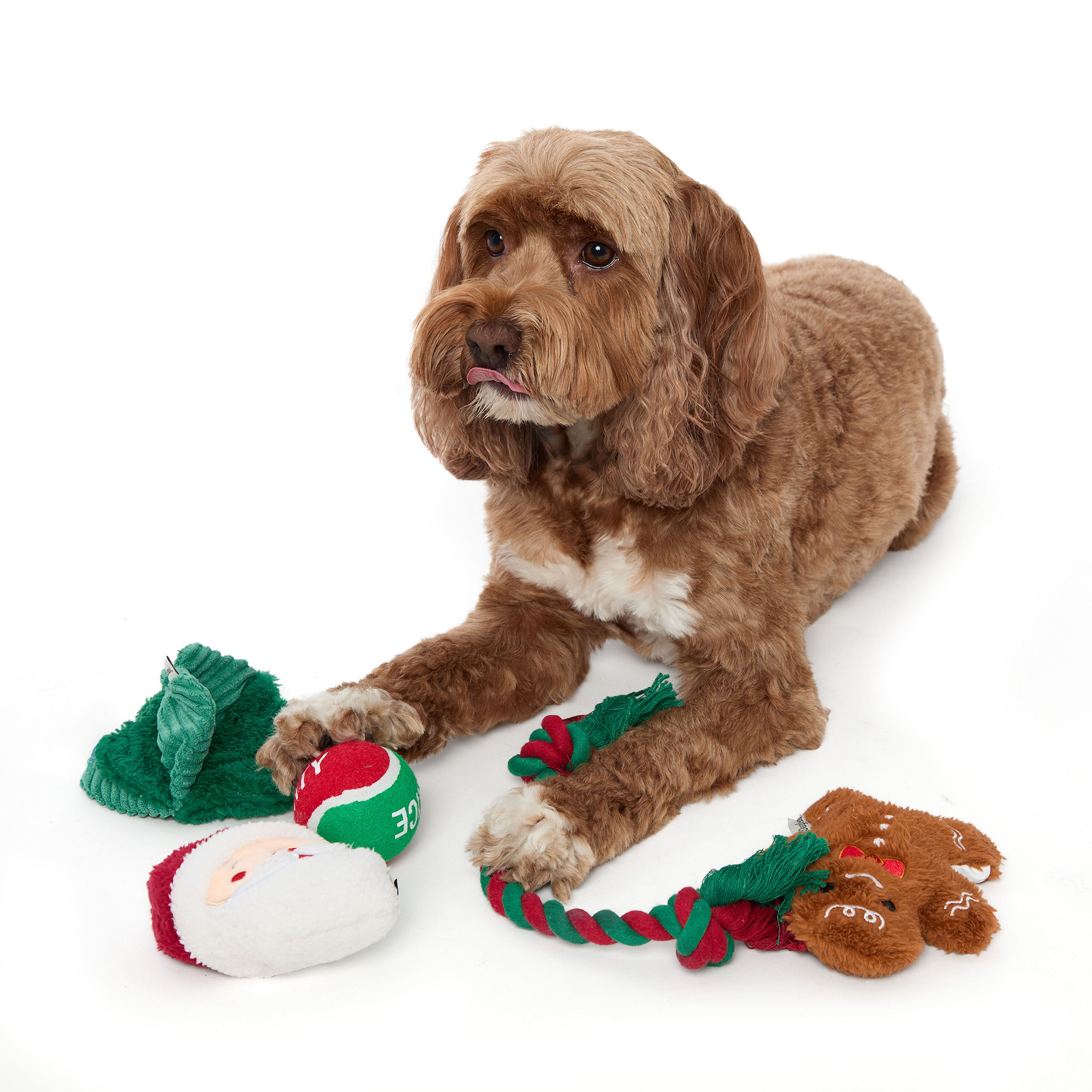 5 Piece Dog Toy Set