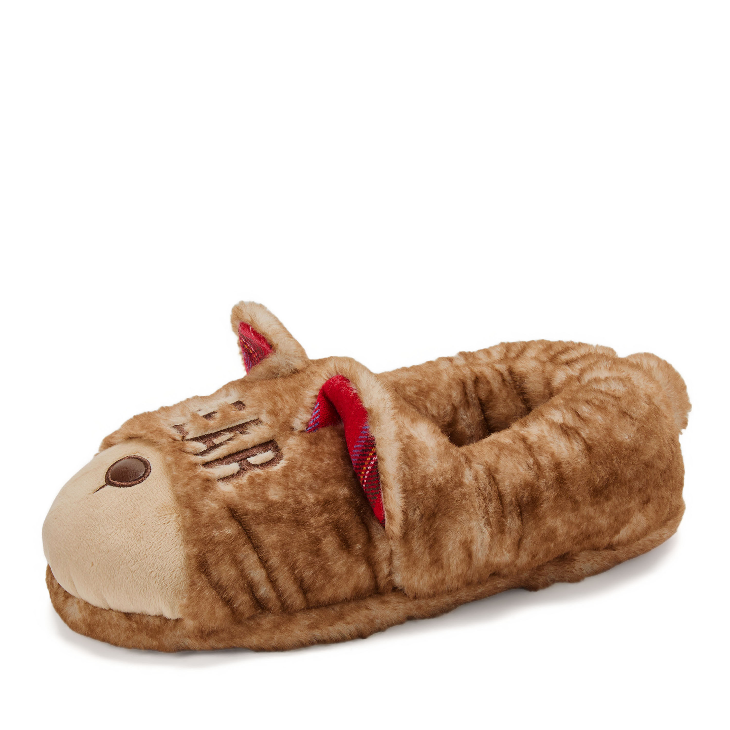 Men's Papa Bear Closed Back