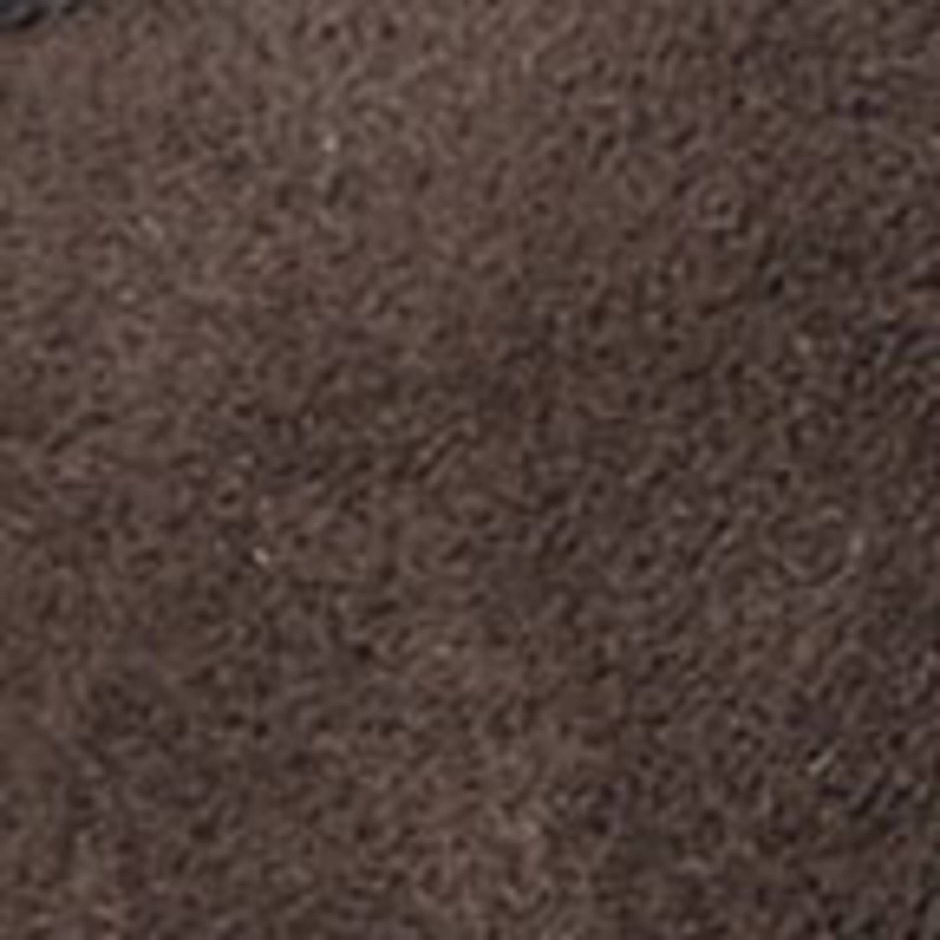 Men's Griffith Genuine Shearling Moc Toe Clog Slipper