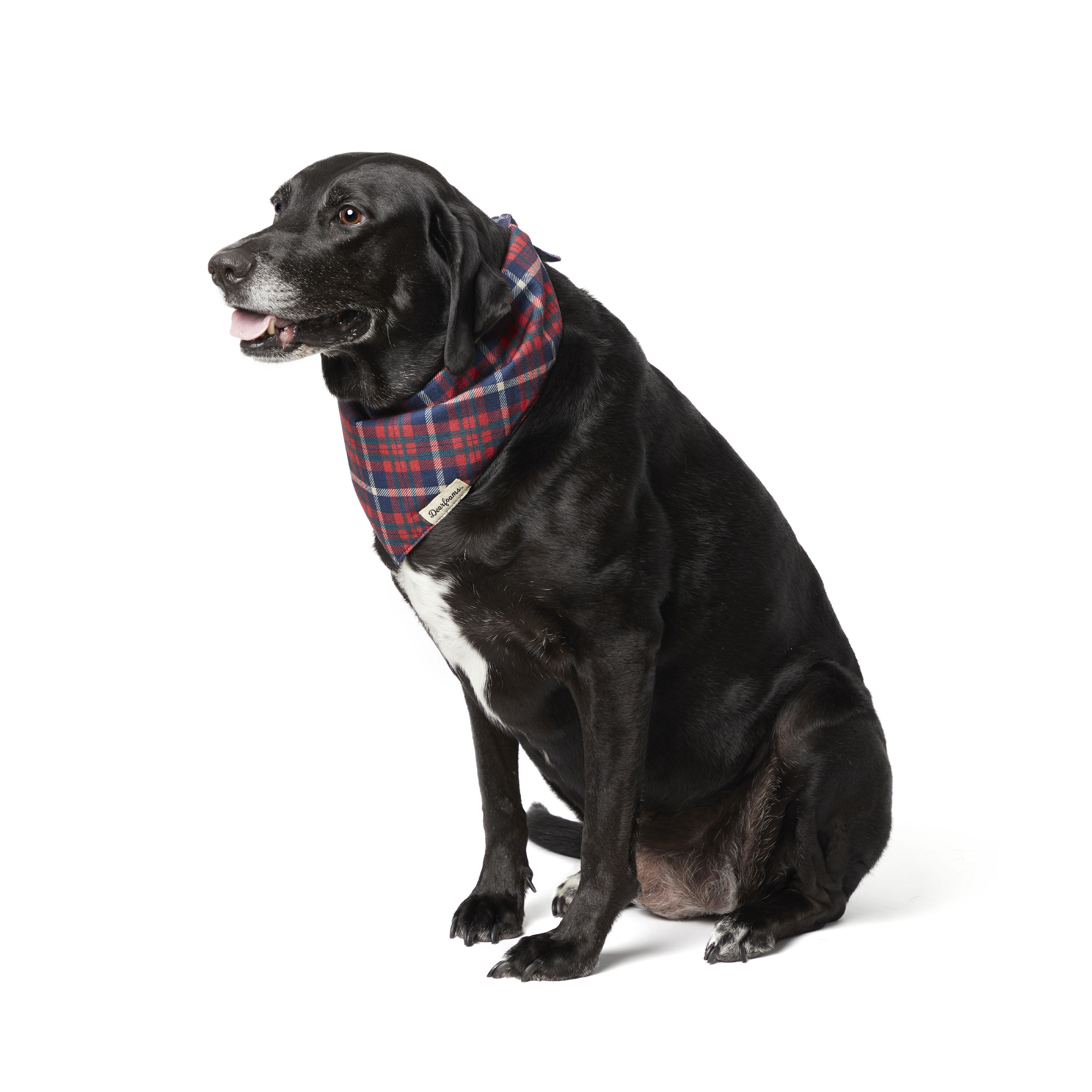 Plaid Pet Bandana