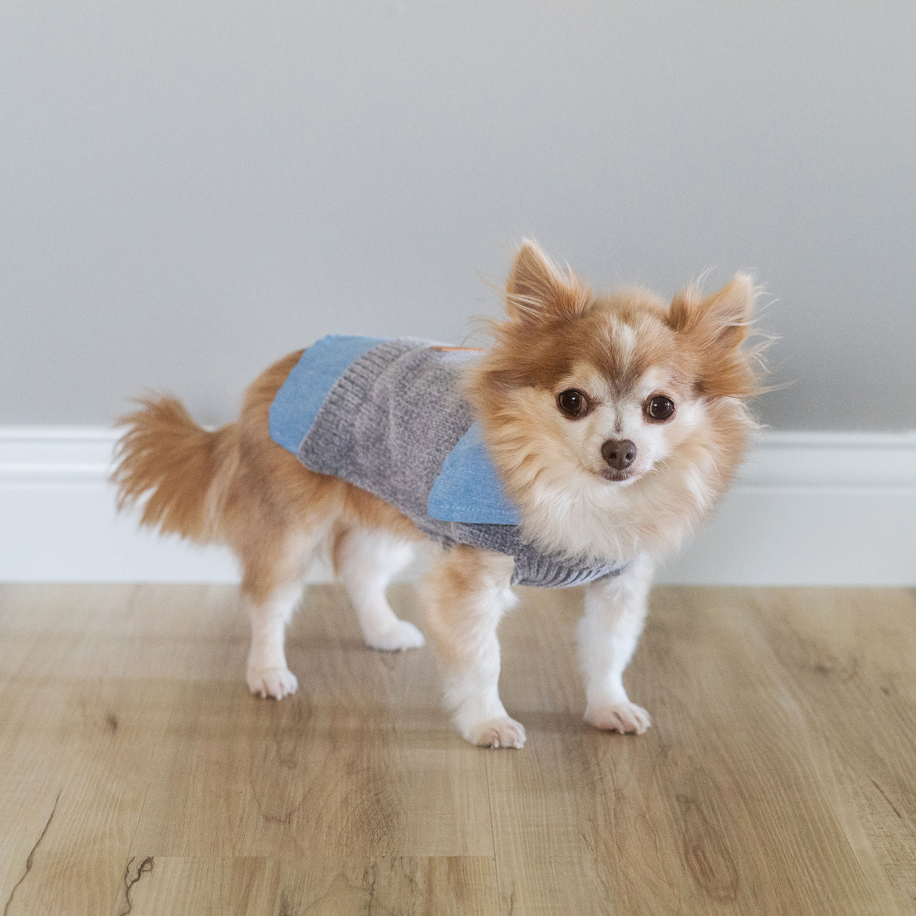Grey Chenille and Chambray Dog Jacket