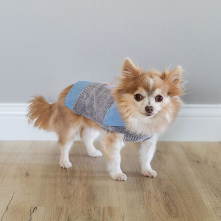 Grey Chenille and Chambray Dog Jacket