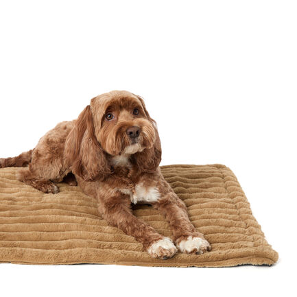 Large Self-Warming Mat