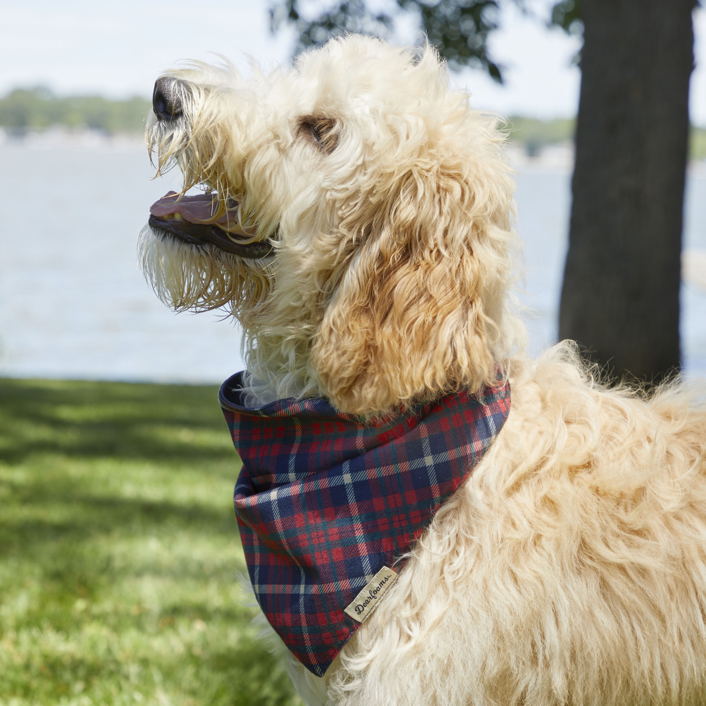 Plaid Pet Bandana