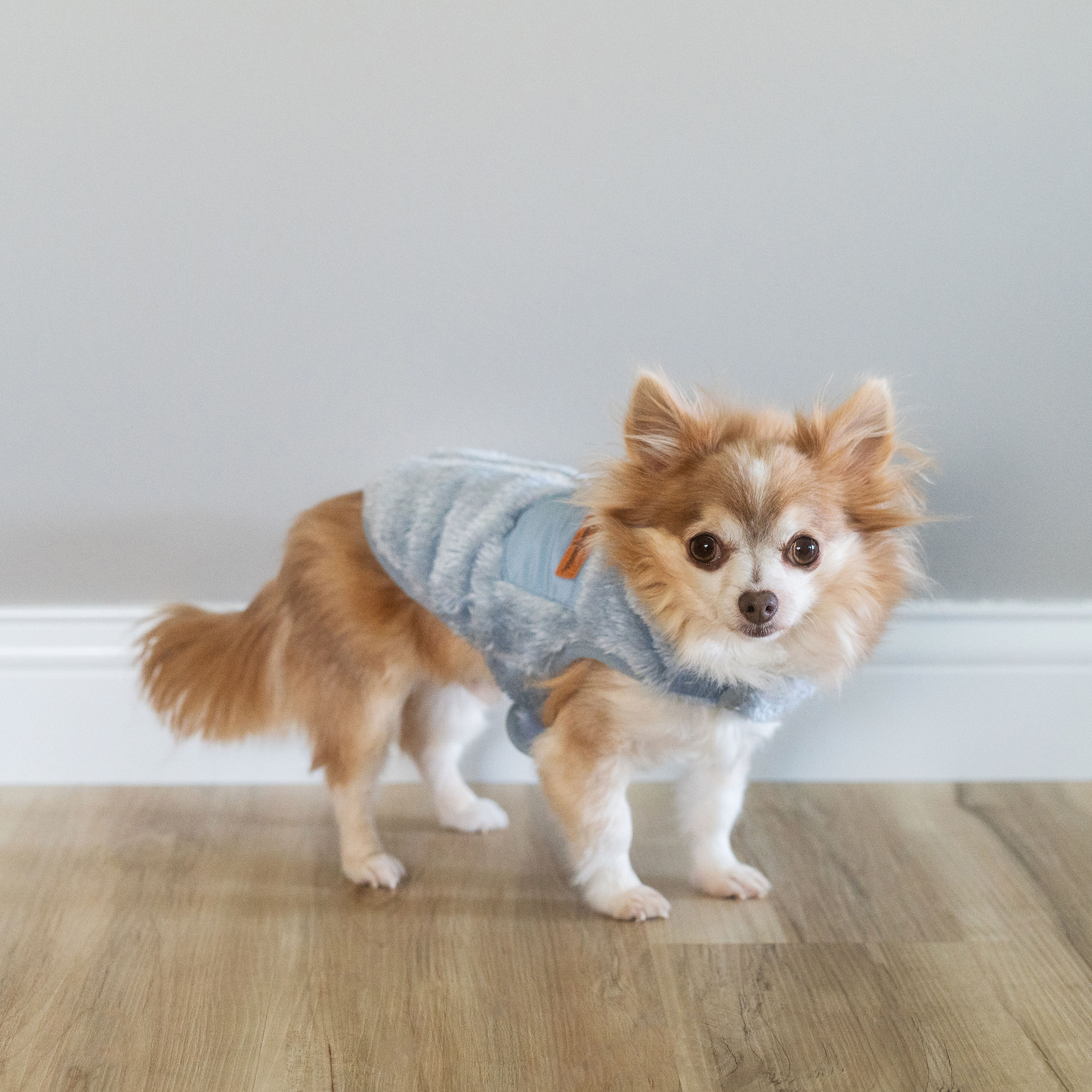 Plush Dog Jacket